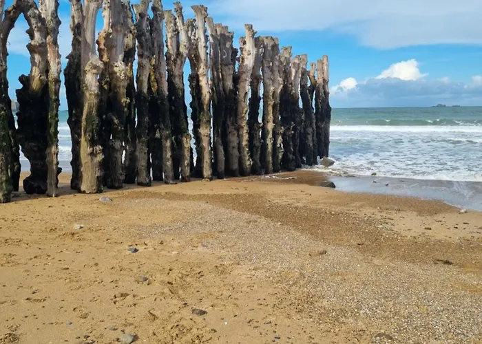 Le Mistral Du Centre Ville ,Chaleureux A 2 Min De La Plage