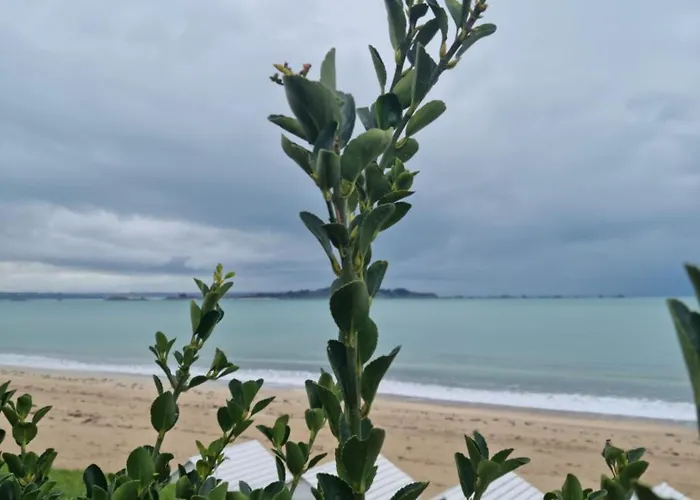 Le Mistral Du Centre Ville ,Chaleureux A 2 Min De La Plage